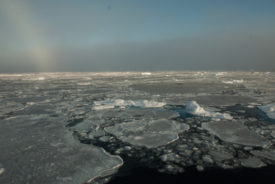 arctic20181011