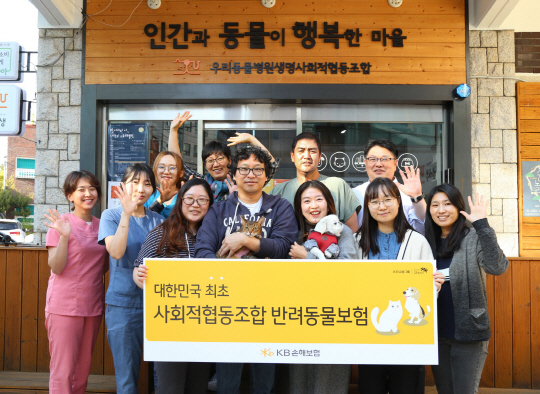 KB손보