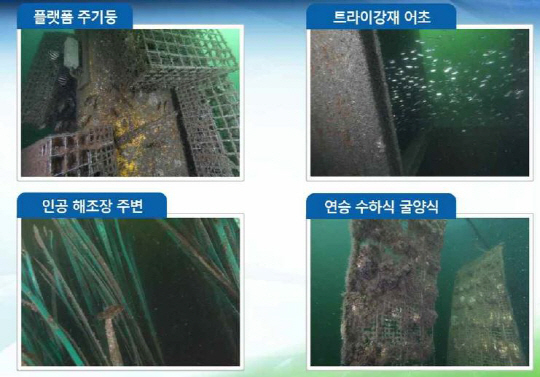 캡처