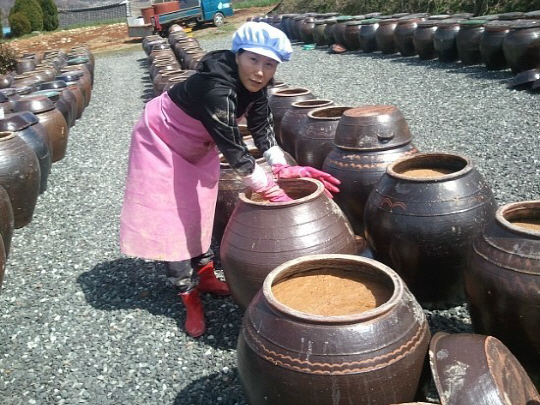 강진최향심메주 사진