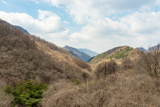 죽령옛길에서 볼 수 있는 소백산맥 절경