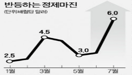 정제마진