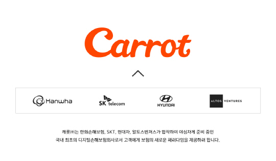 캐롯손해보험CI