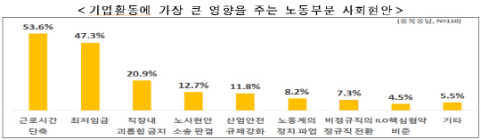 기업활동에 가장 큰 영향을 주는 노동부문 사회현안