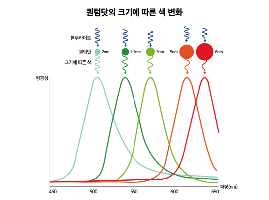 퀀텀닷 그래프