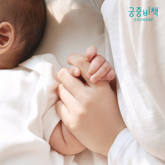 궁중비책 자료사진