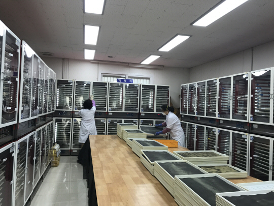 고품질과 안정생산을 동시에!! 꽃가루 은행 개장