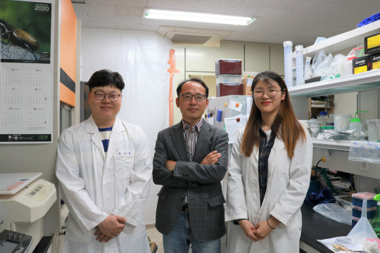 세종대 진중현 교수