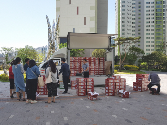 경주이사금 토마토 특판행사