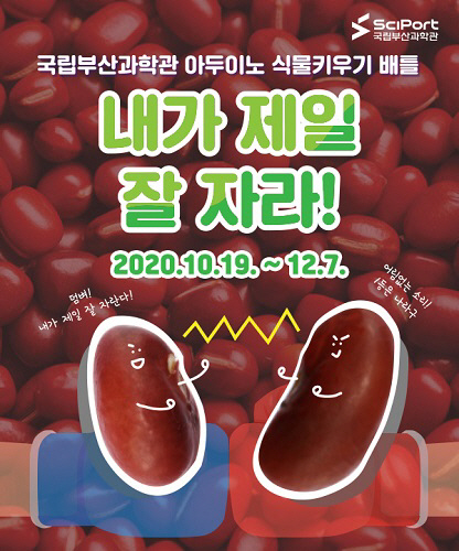 국립부산과학관, 식물키우기 배틀 ‘내가 제일 잘 자라’ 개최