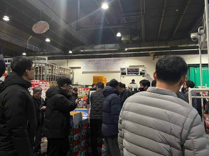 서울 송파구가락시장 사과경매