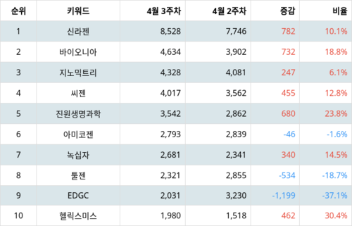랭키파이 트렌드 지수 분석 데이터