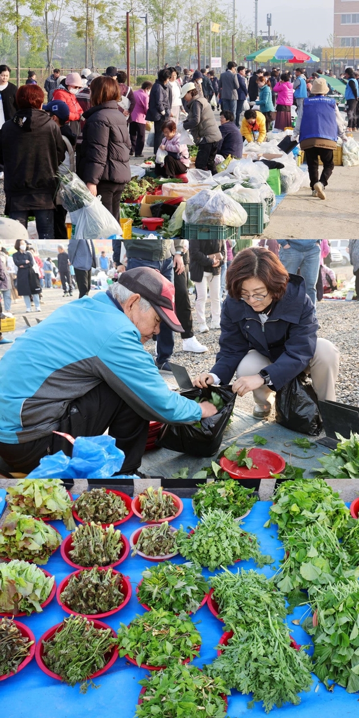 김보라