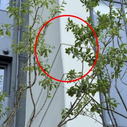 최근 온라인 커뮤니티를 뜨겁게 달군 신축 아파트 외벽 휨 현상 사진. 온라인 커뮤니티  갈무리.