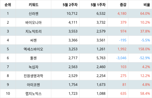 랭키파이 트렌드 지수 분석 데이터