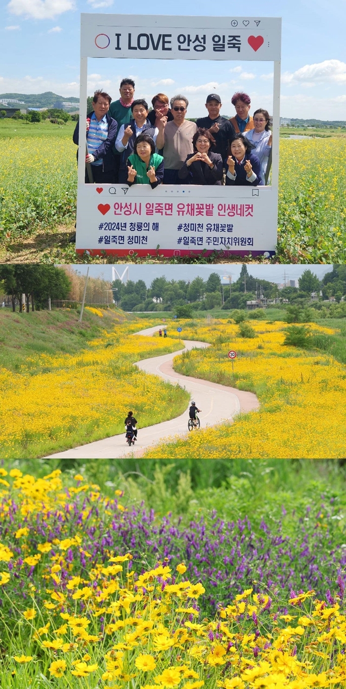 김보라