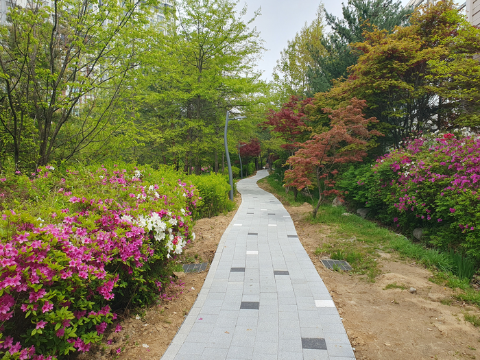 용인 수지구, 녹지 어우러진 산책 도시 ‘워커블 시티’ 변신