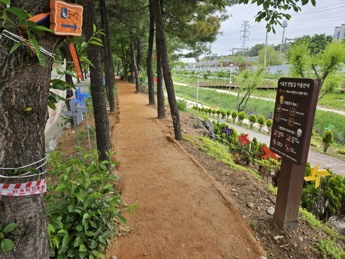 시흥시 시흥천 제방 맨발걷기 길