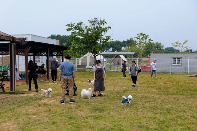 익산시, 반려인과 비반려인 함께 하는 한 여름밤 행사 개최