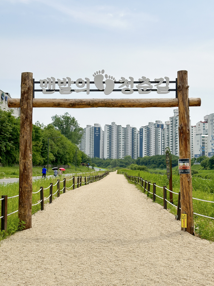 의정부시 중랑천 '맨발의 청춘길'