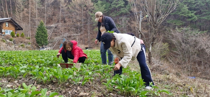 '강원에서 살아보기'