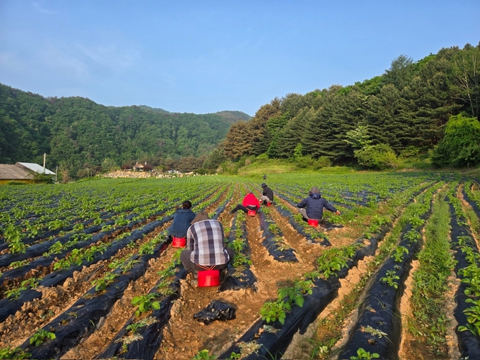 '강원에서 살아보기'