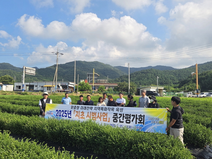 진도군, '지초 안정생산 시범사업' 중간 평가회 개최