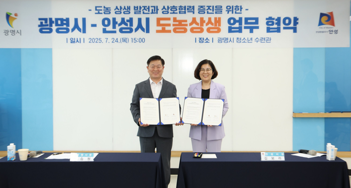 안성시