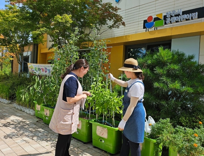 양주시 상자텃밭 124곳 보급