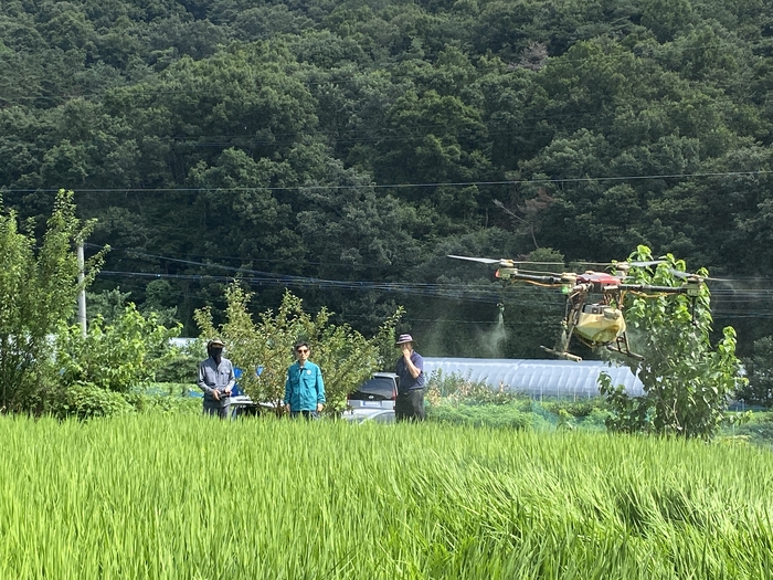 남양주시 7일 드론 활용 병해충 방제 실시