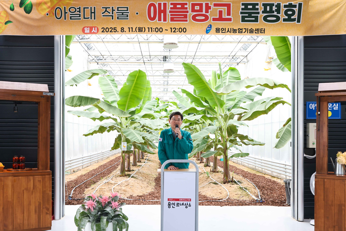 용인시