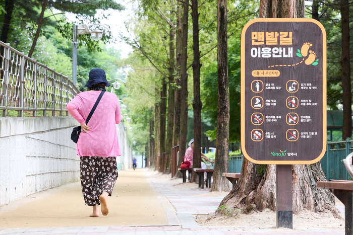 양주시 메타세콰이아 맨발길 조성