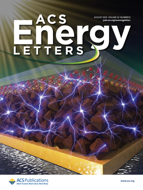 국제 학술지 'ACS Energy Letters' 2025년 8월호 표지 이미지