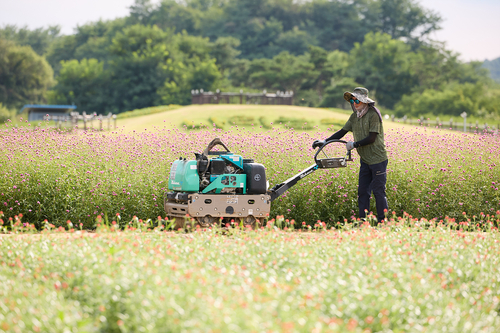 양주시 나리농원 가을 개장 준비