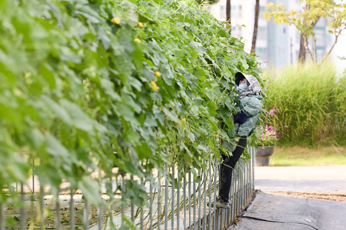 양주시 나리농원 가을 개장 준비