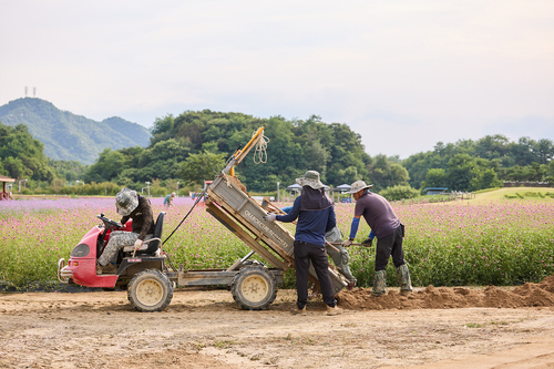 양주시 나리농원 가을 개장 준비.