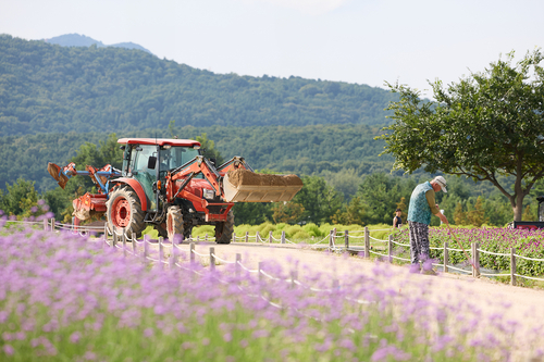 양주시 나리농원 가을 개장 준비