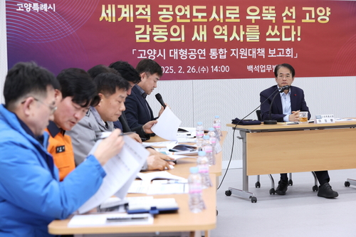고양특례시 대형공연 통합지원 대책 보고회
