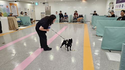 구리시 반려동물 문화교실 '더 행복하개' 현장