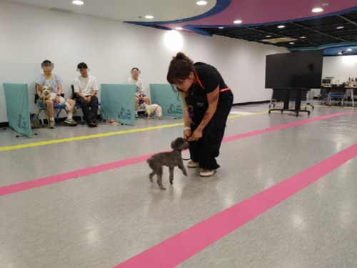 구리시 반려동물 문화교실 '더 행복하개' 현장