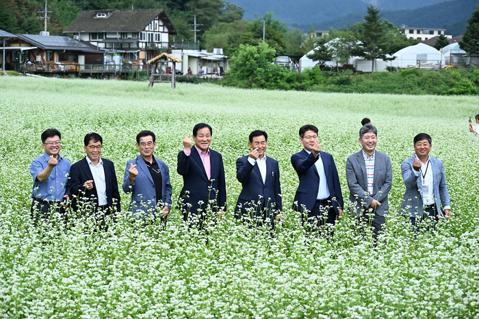 '2025 평창 효석문화제