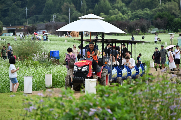 '2025 평창 효석문화제