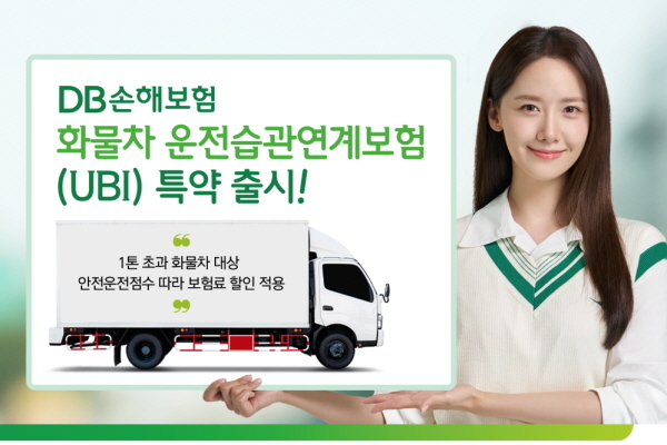 DB손보