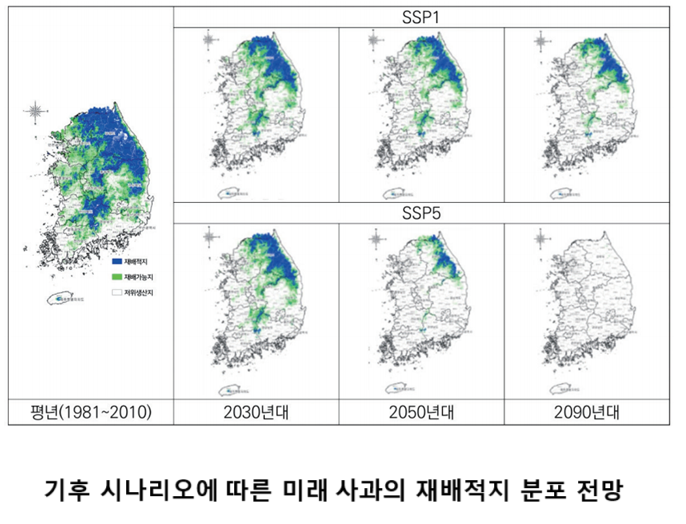 사과