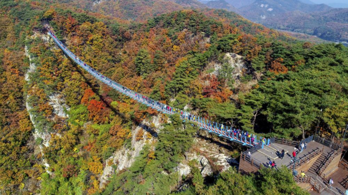 소금산 그랜드밸리 출렁다리 가을 풍경