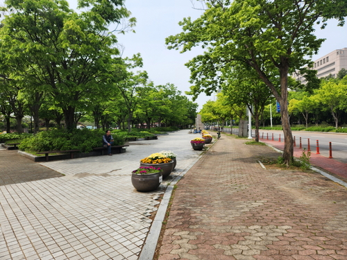 고양특례시 일산호수공원 노후 경계 펜스 철거 후