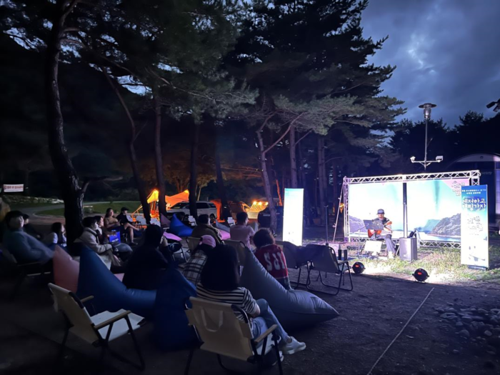 강원도 철원엔 ‘은빛 억새·가을 꽃물결’… 정선엔 ‘아리랑 가락 넘실’