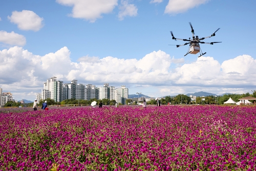 양주시 '2025년 제7회 양주 천만송이 천일홍 축제' 현장