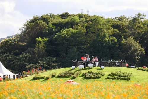양주시 '2024년 제6회 양주 천만송이 천일홍 축제' 현장