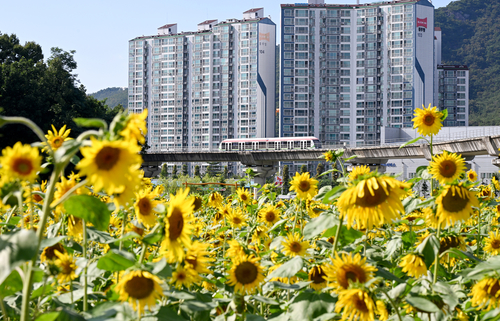 의정부시 신곡새빛정원 나들이 행사장 전경